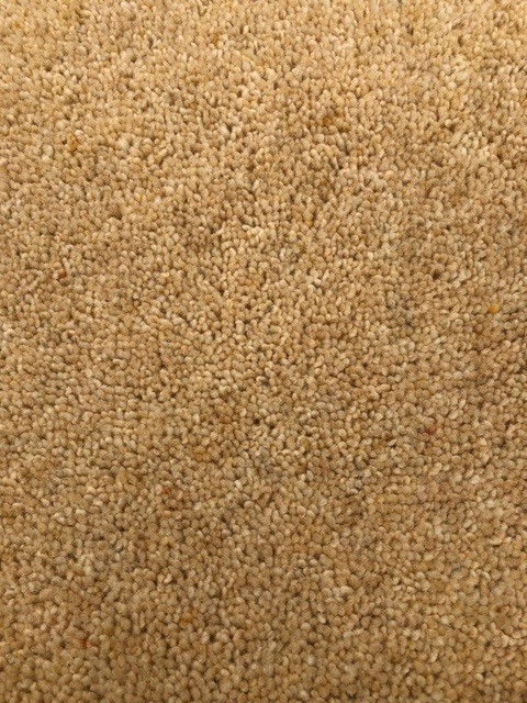 >ADAM CASTLEMEAD NORTHUMBRIAN HEATHER